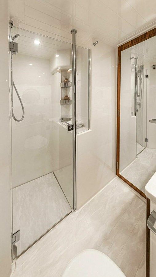 Купить WATER DOG - Riviera