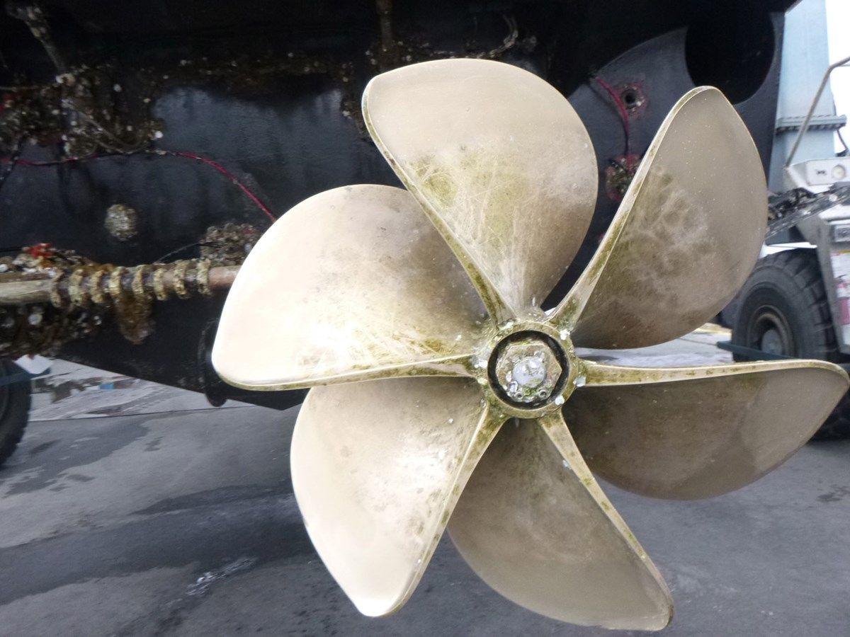 the best price on Habeas Orcas 62