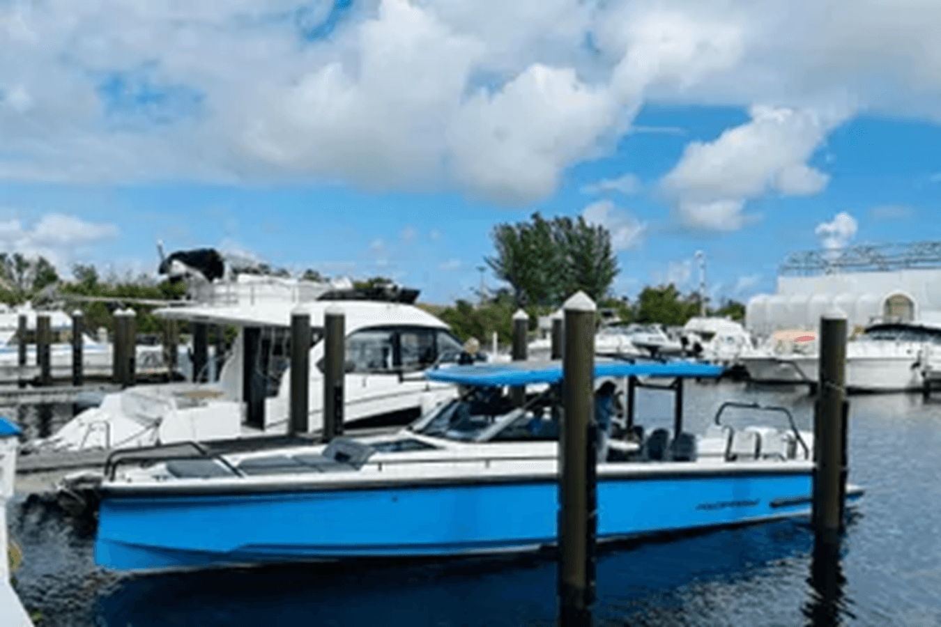 the best price on Out of the blue