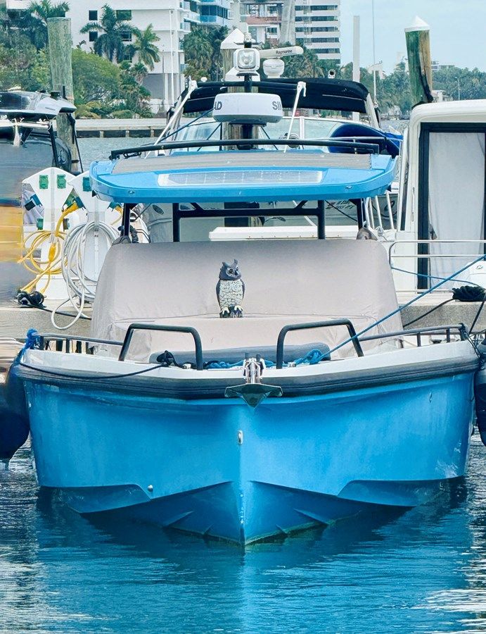 Buy a yacht Out of the blue 2021