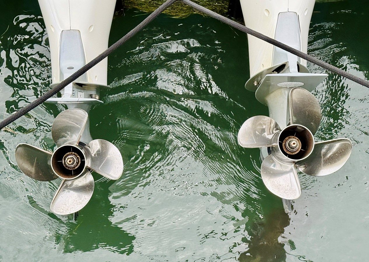 Out of the blue - Axopar price