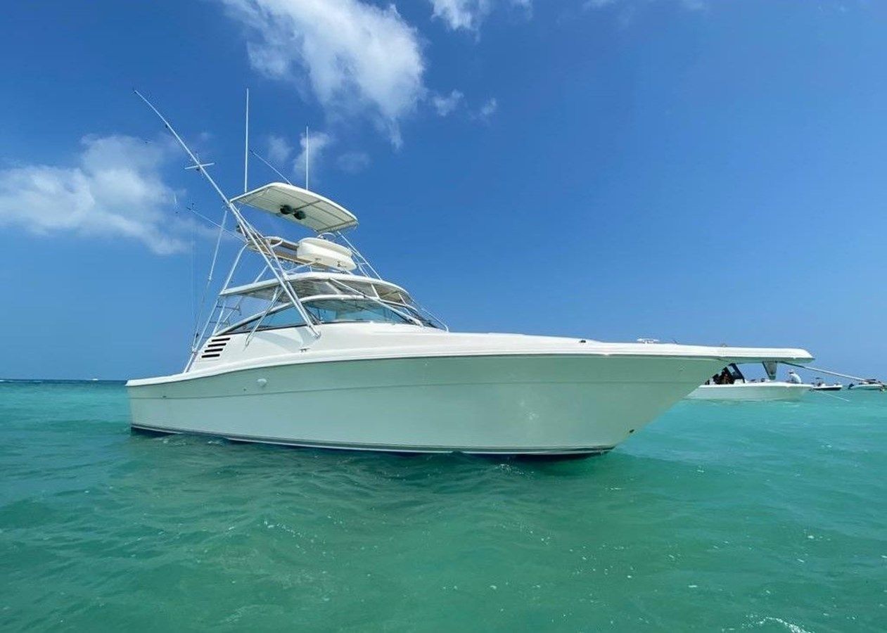 Лучшая цена на Vamonos