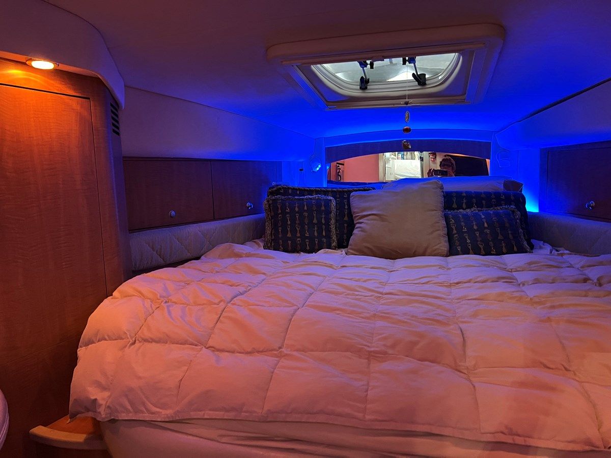 Wasn't Me - SEA RAY price