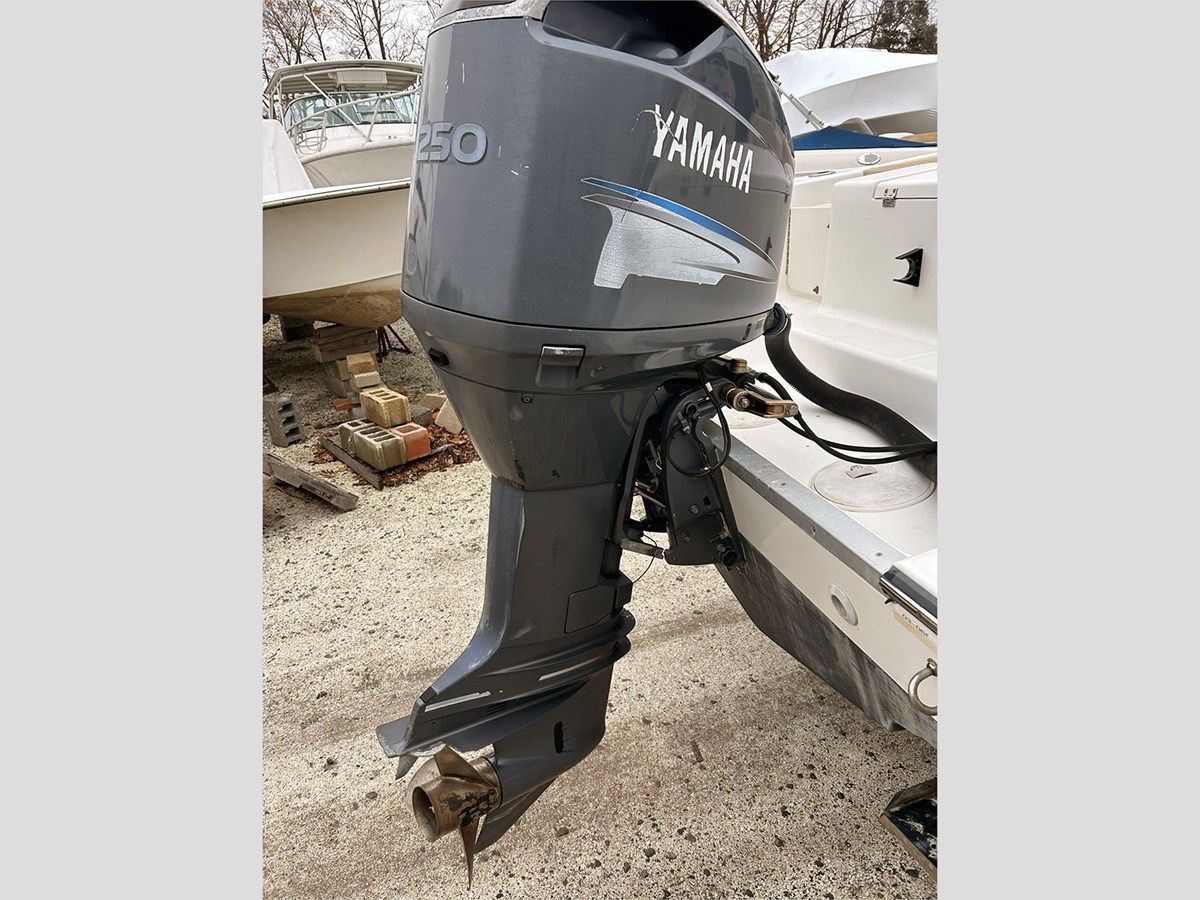 Купить 25' Triton 2003 2486 25