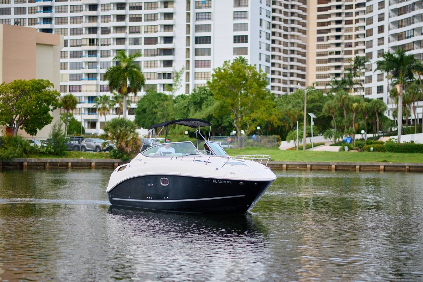 WELCOME TO THE JUNGLE 260 Sea Ray Cruising Yacht price