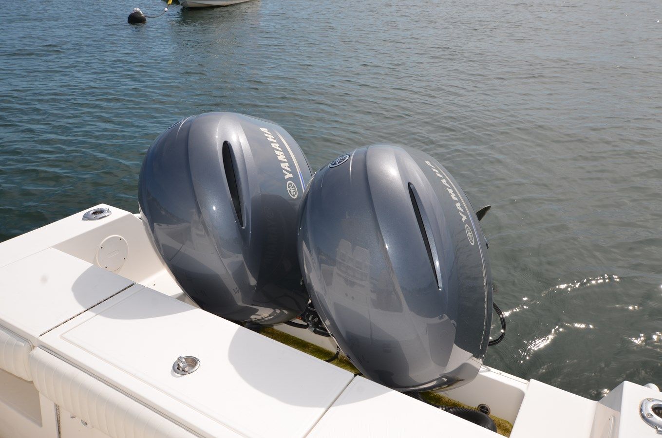 GEORGIA ANN - REGULATOR