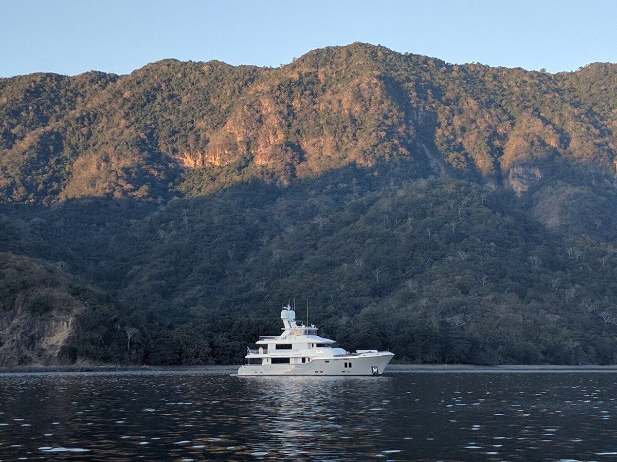 Лучшая цена на VIVIERAE II 86