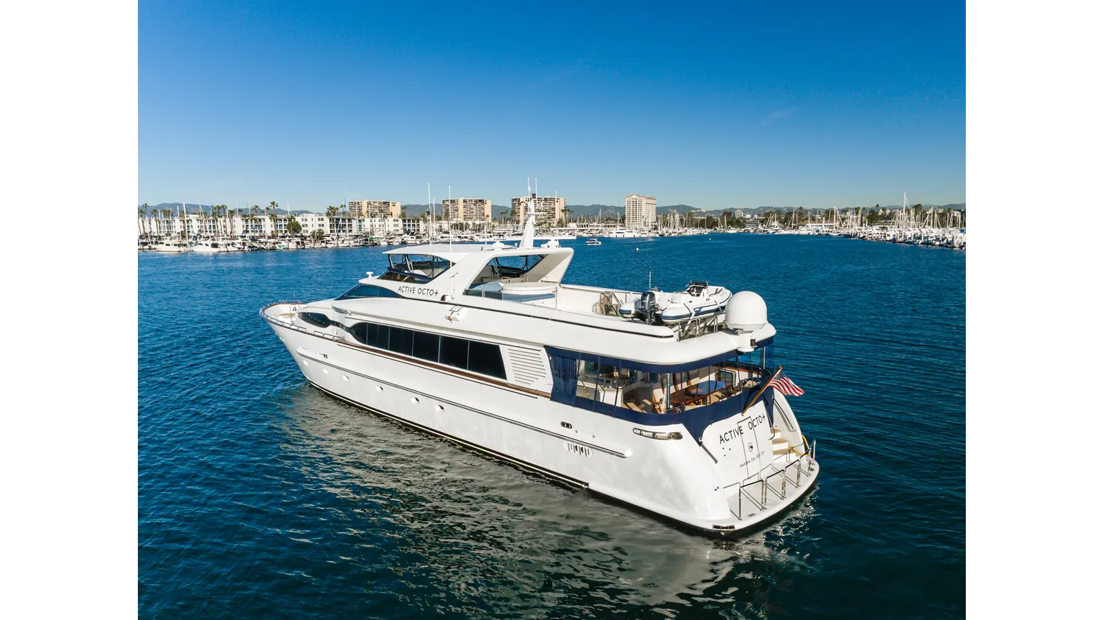 Active Octo - DESTINY price