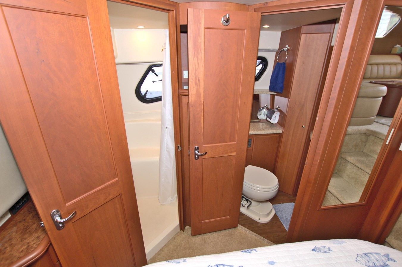 Bear Foot II (Copy) - Silverton price