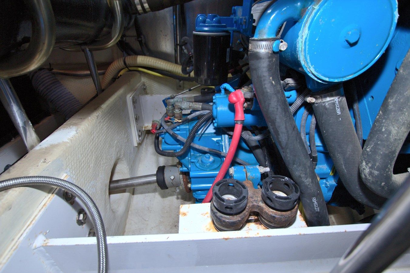 Bear Foot II (Copy) - Silverton