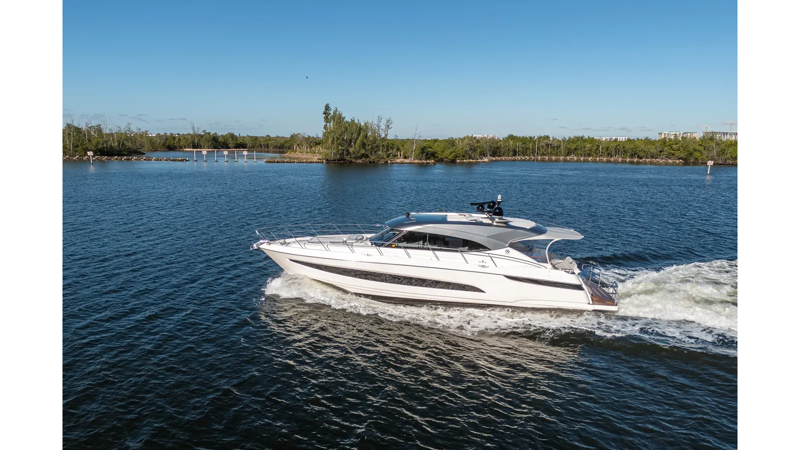 Купить WATER DOG 2024