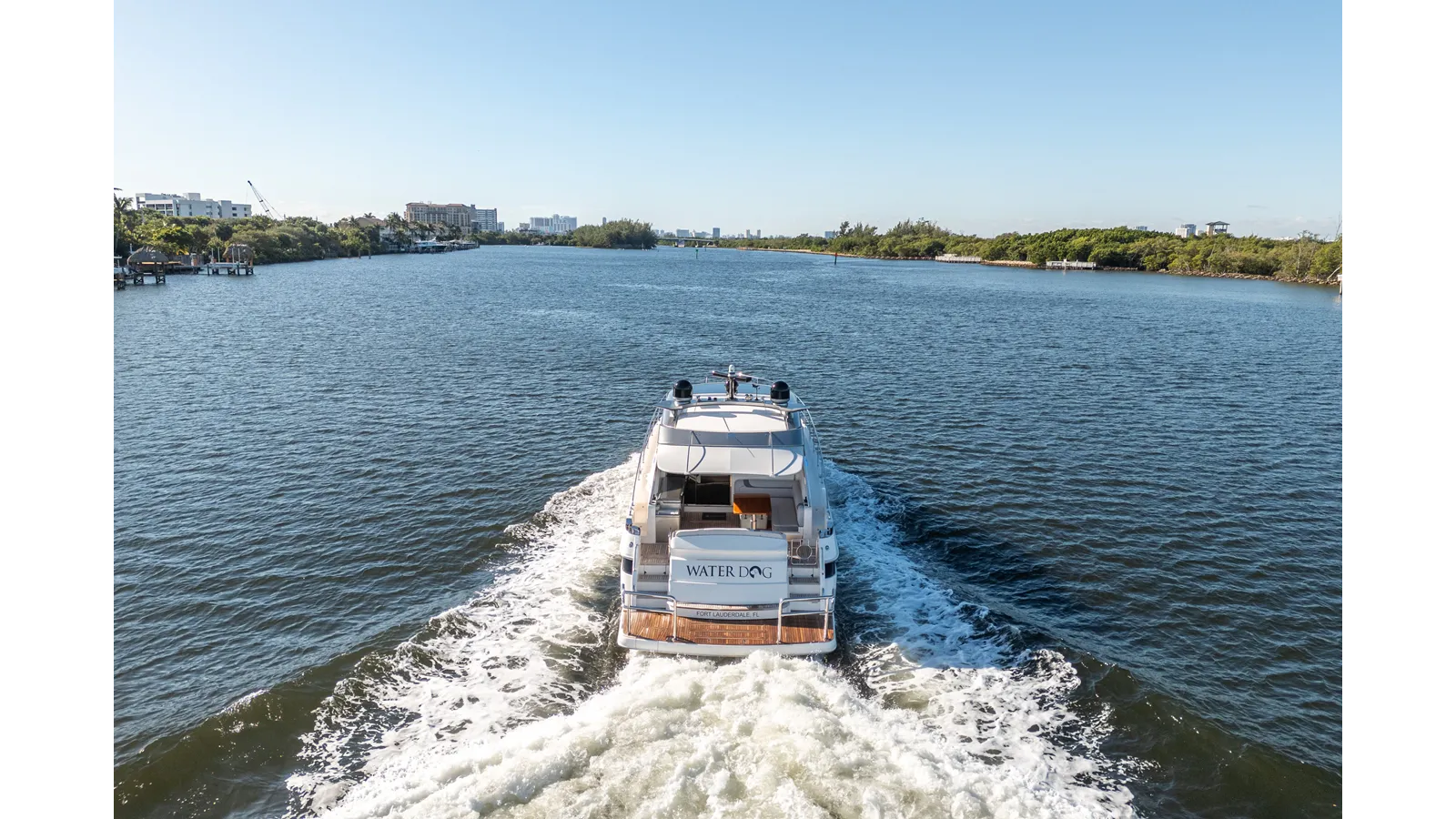 Лучшая цена на WATER DOG 54