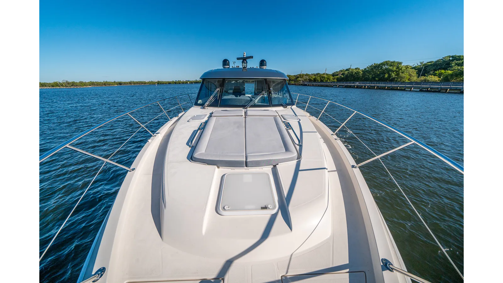 Купить WATER DOG 2024