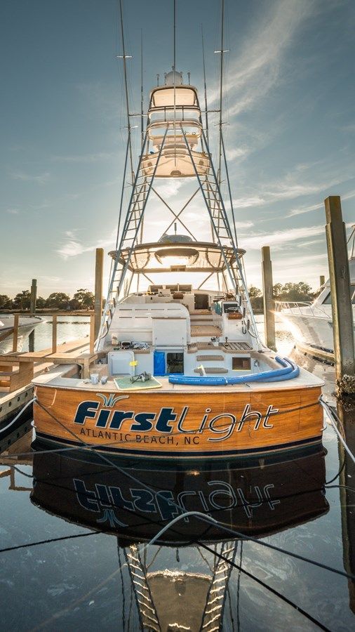 Купить FIRST LIGHT 65