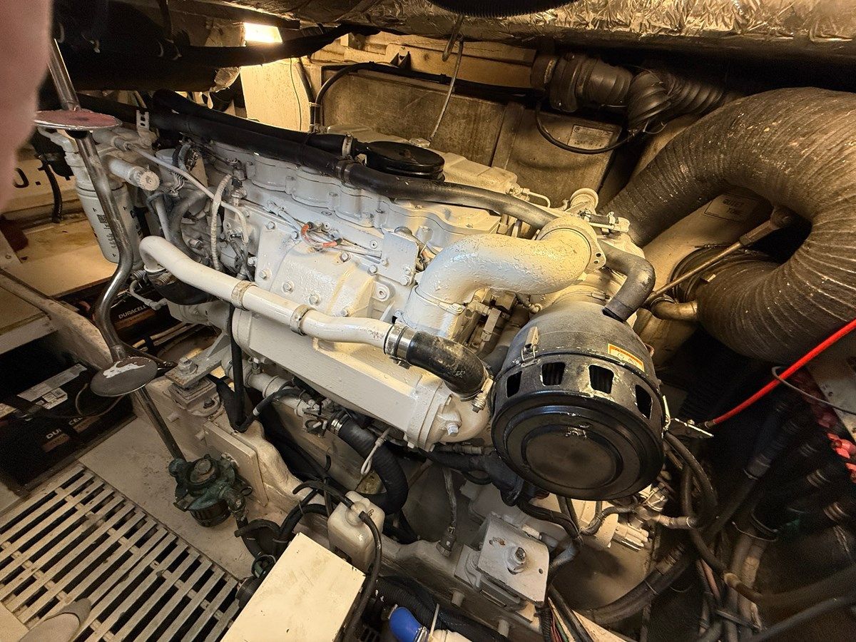 Bravant - Tiara price