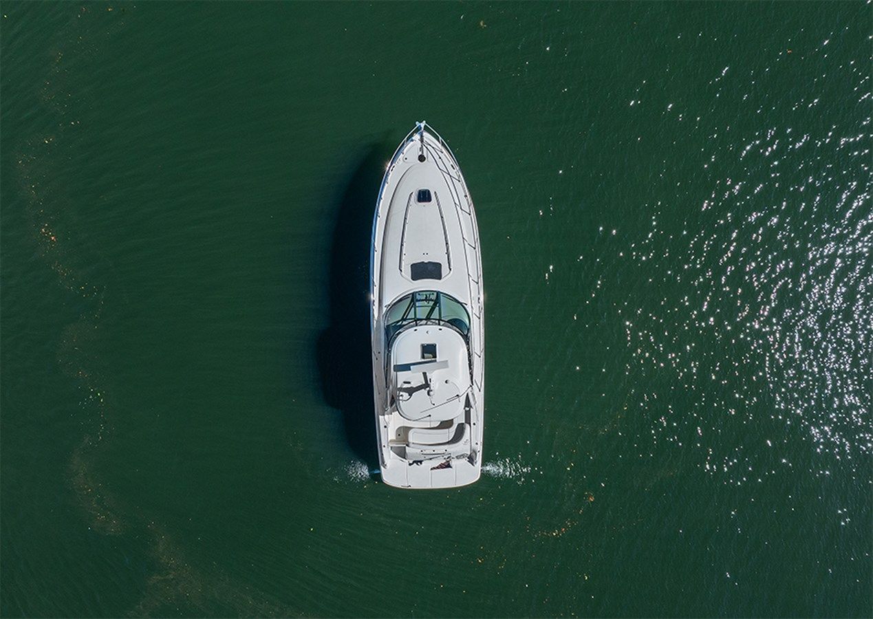 Лучшая цена на VOODOO KREWE