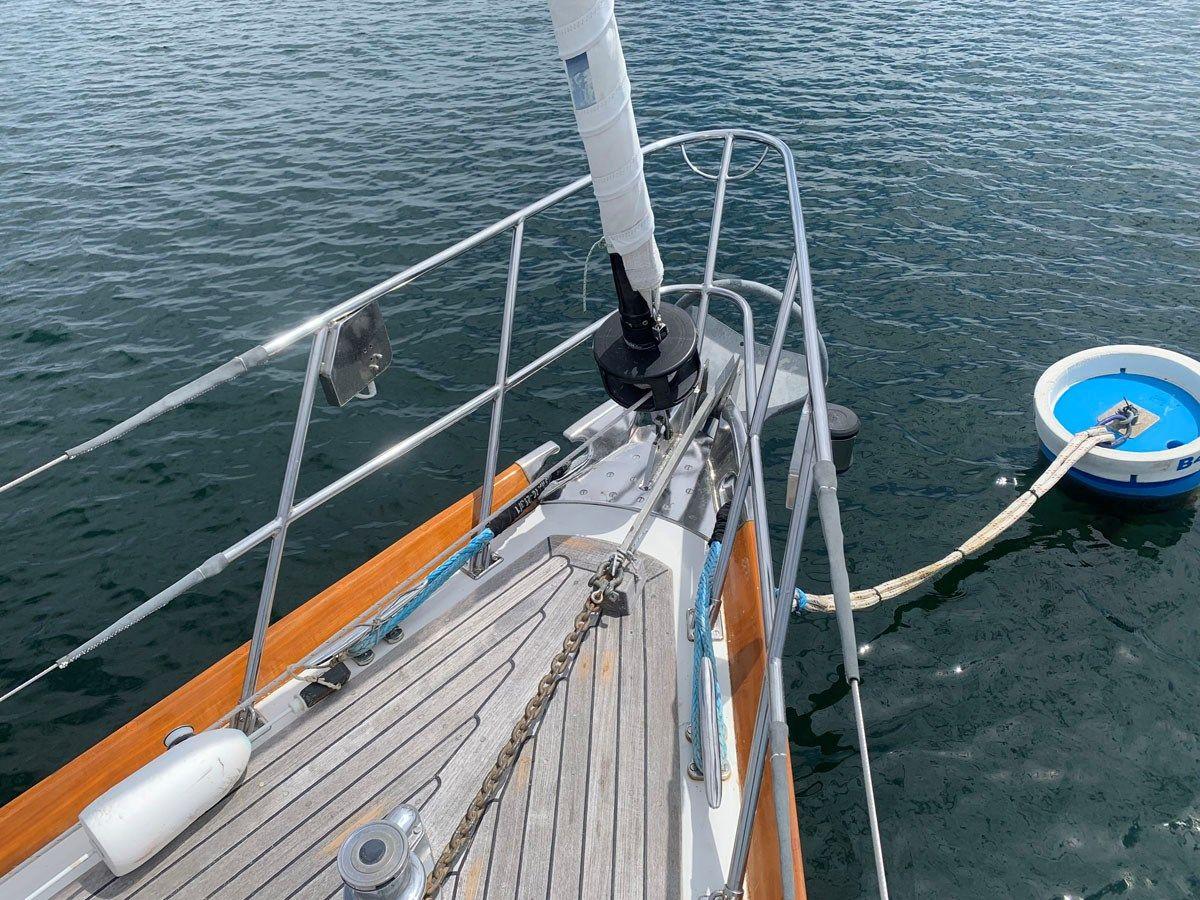 REDSTART - LITTLE HARBOR price