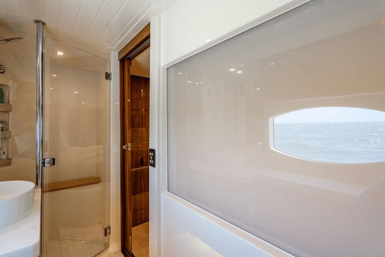 Bald Eagle - Riviera