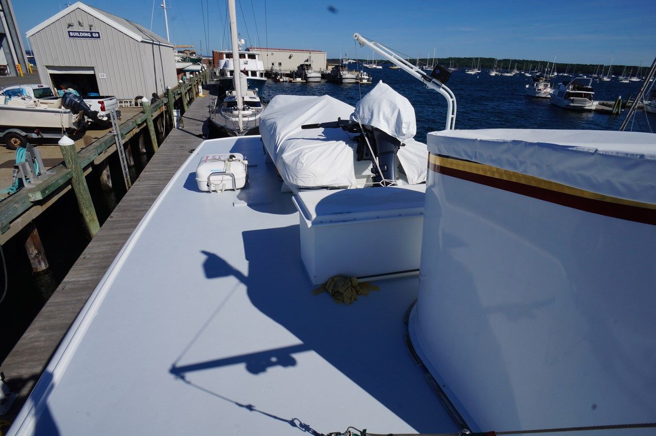 Купить Liberty Love - TRUMPY