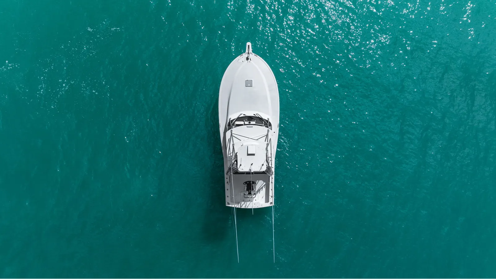 the best price on Tiburon 41