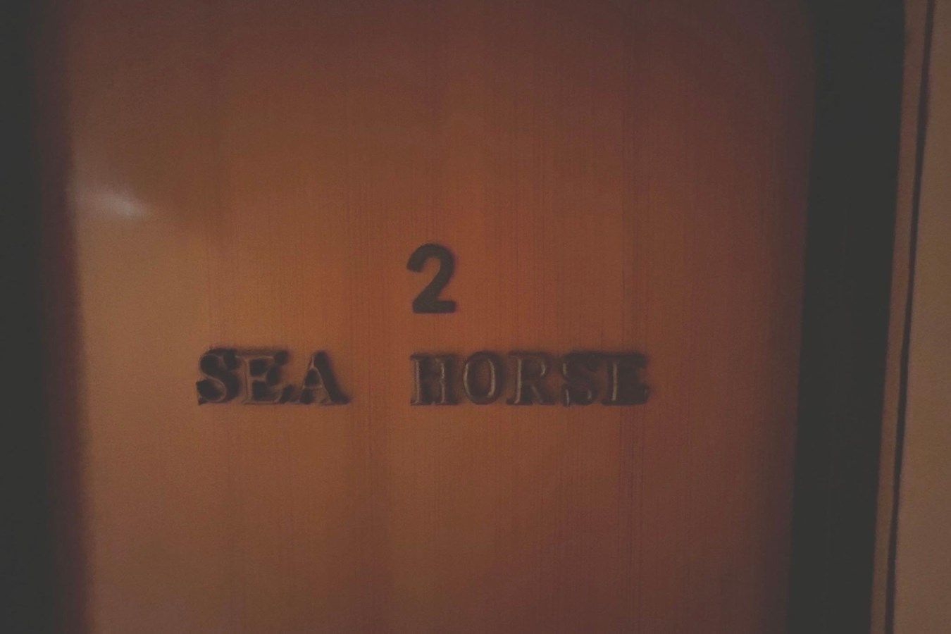 La Mer - CUSTOM yacht sale