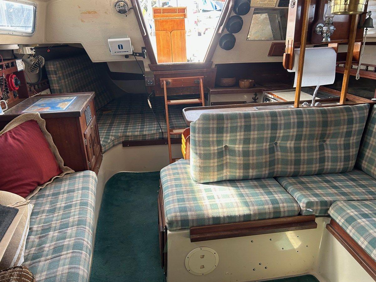 Купить яхту Cadence - Catalina Yachts в Shestakov Yacht Sales