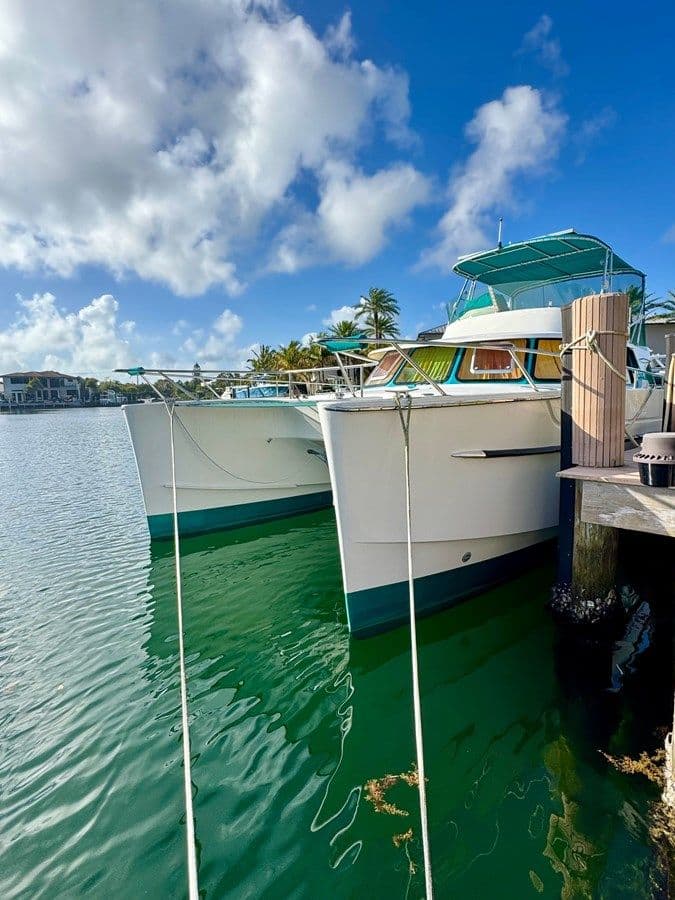 Купить яхту Knotty Cat 37 в Shestakov Yacht Sales