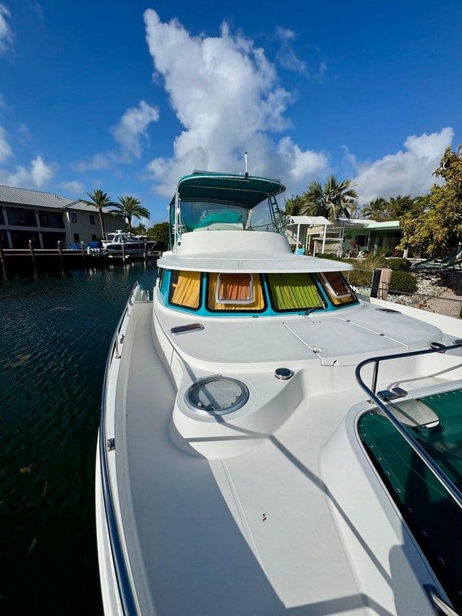 Лучшая цена на Knotty Cat