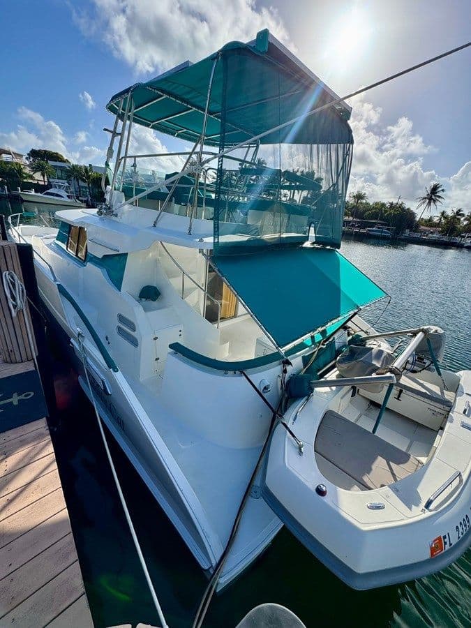 Knotty Cat - unknown