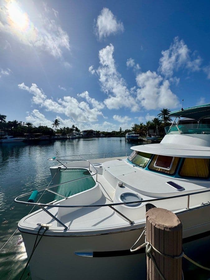 Продажа яхты Knotty Cat 37