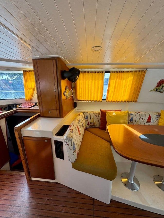 Купить Knotty Cat 37