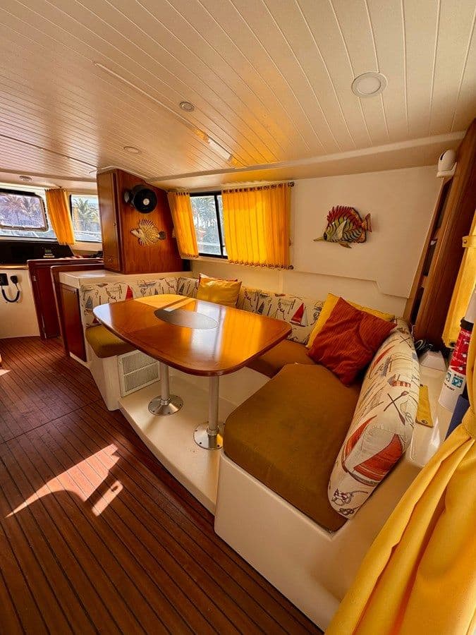 Лучшая цена на Knotty Cat - unknown