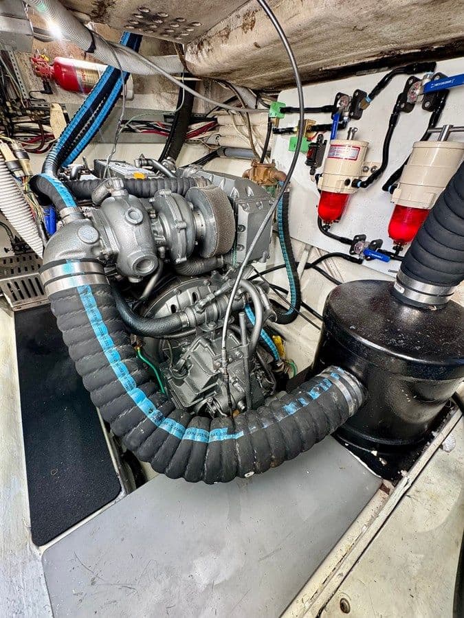 Купить Knotty Cat 1999