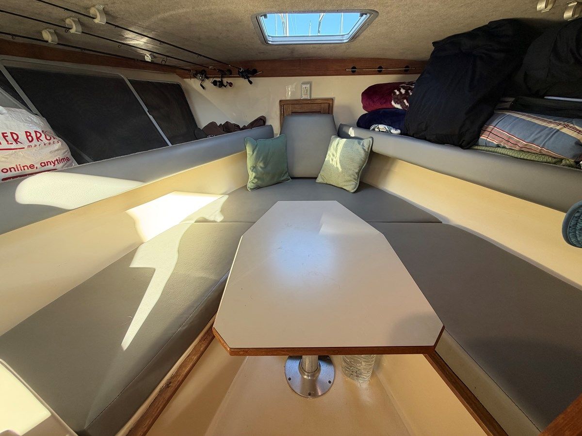 Loco Mocean - ALBEMARLE price