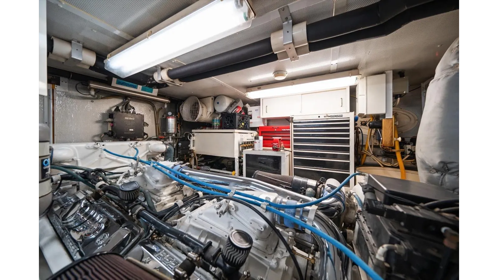 Think B.I.G - WESTPORT price