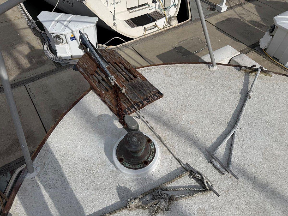 Balena Blu - PACIFICA