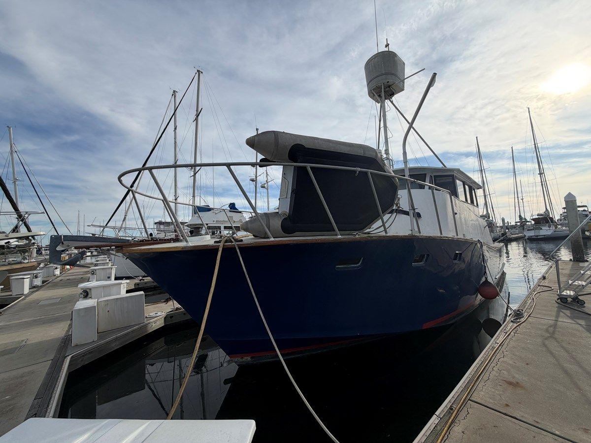 Balena Blu - PACIFICA