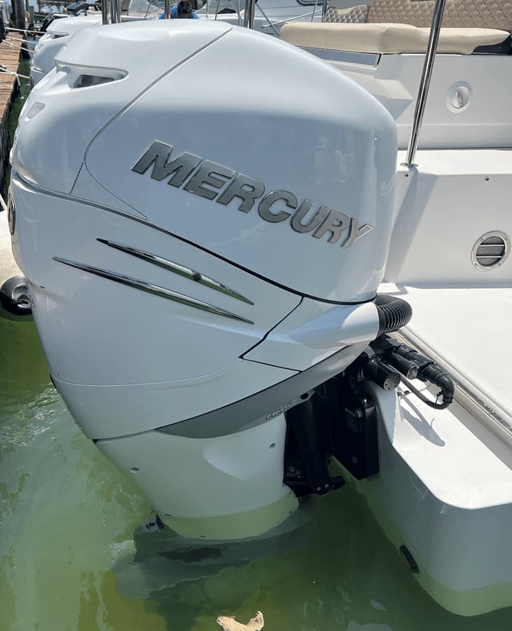 DELFINA 2019 yacht sale