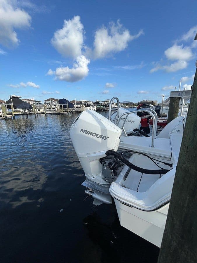 NA - WORLD CAT price