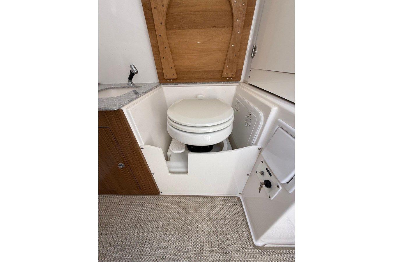 BABY SEAL - Everglades