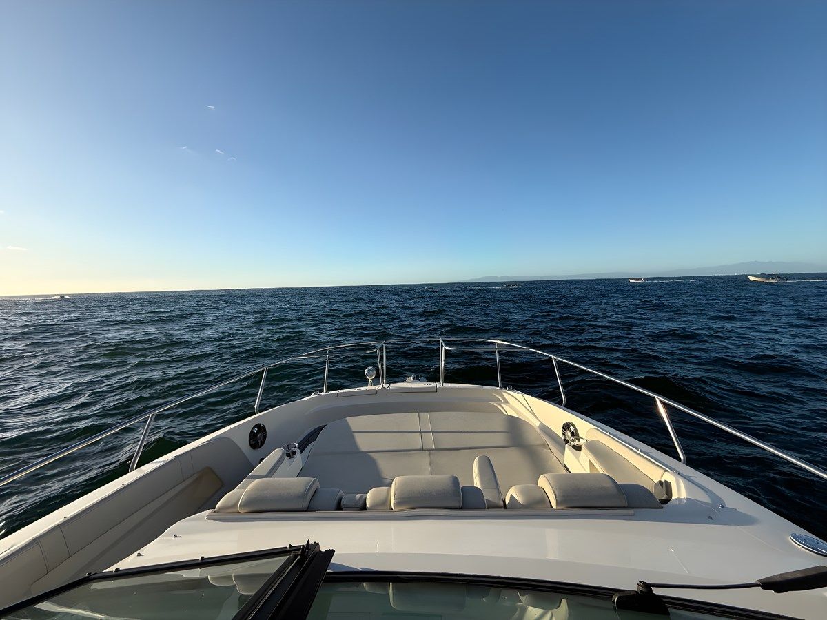 Momentum - SEA RAY price