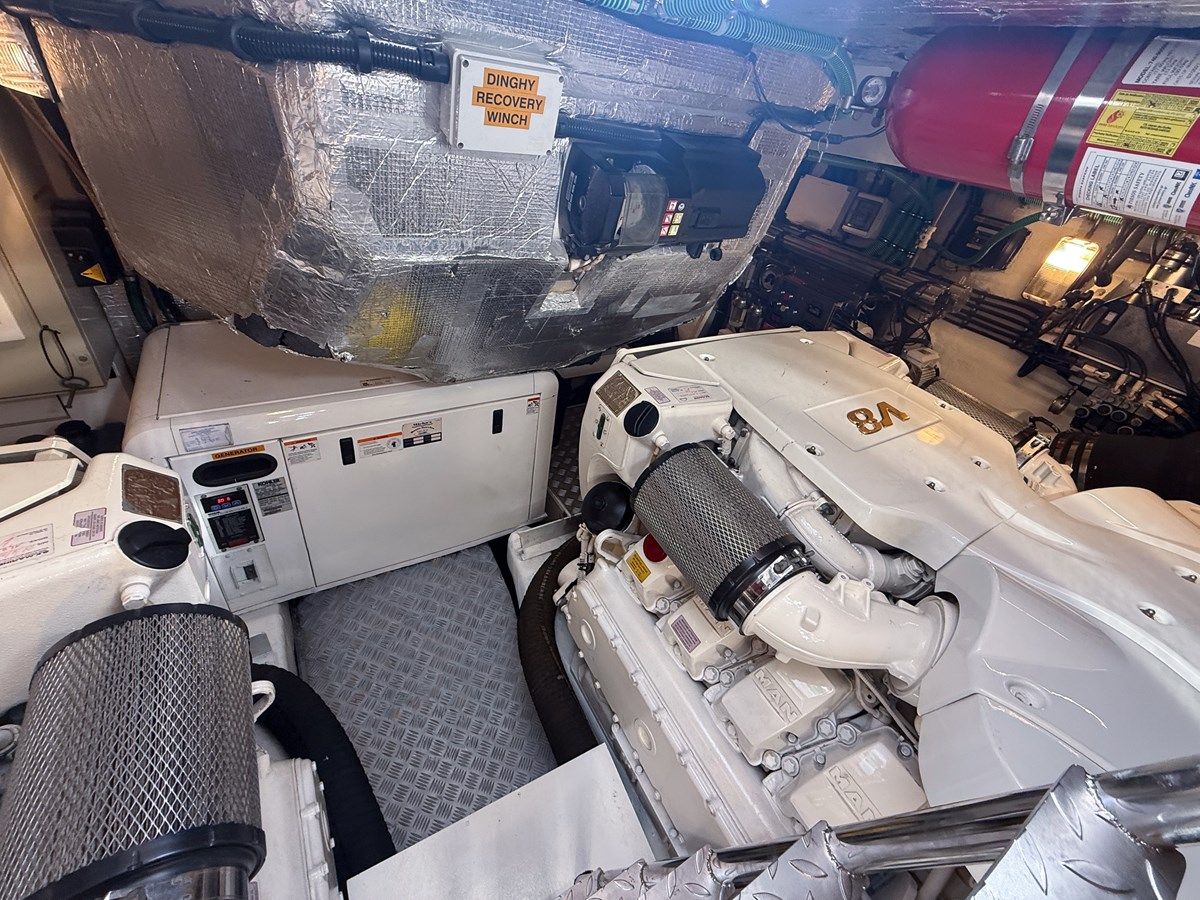 MY MIEL Predator 64 price