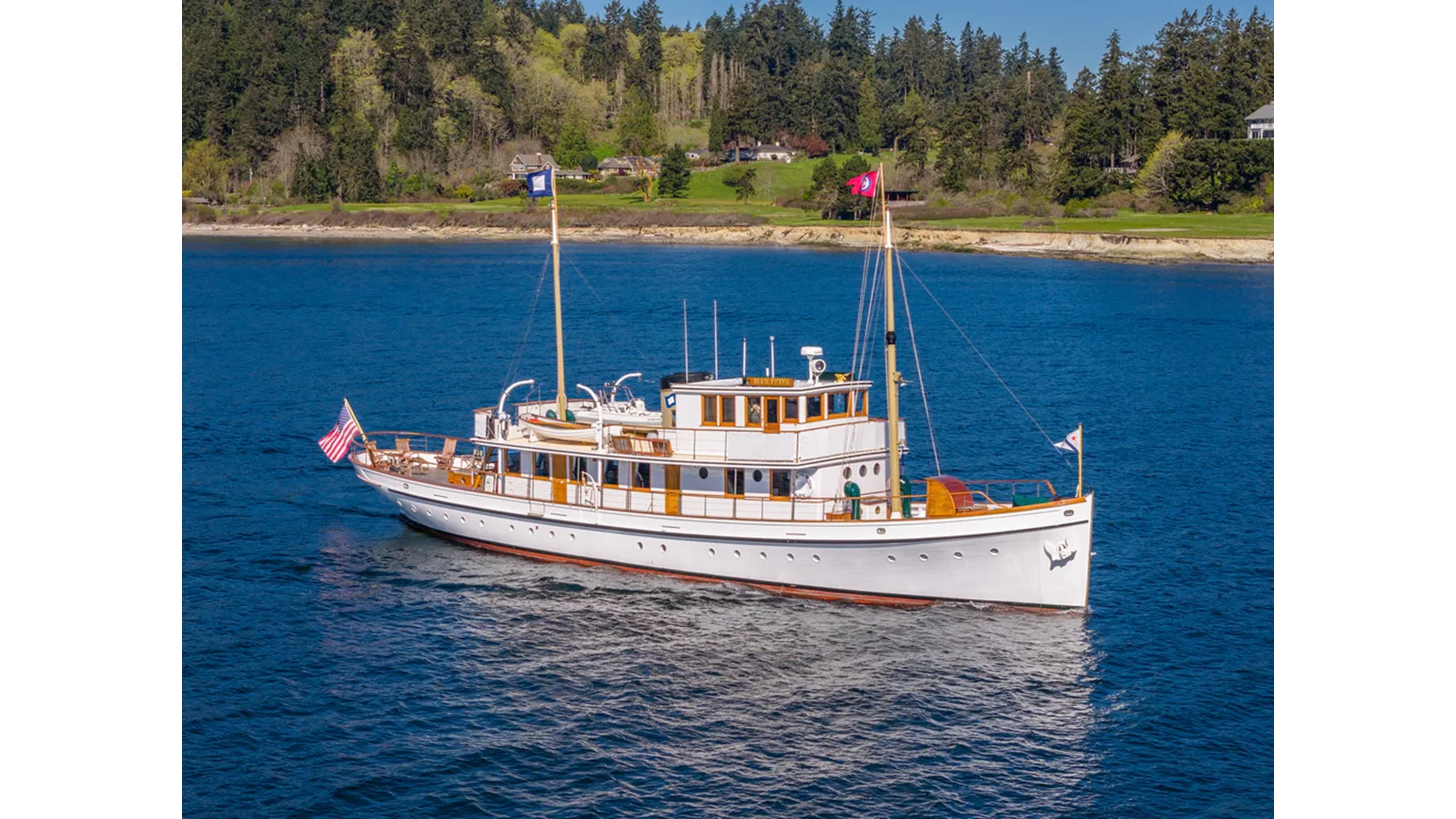the best price on Blue Peter - CUSTOM