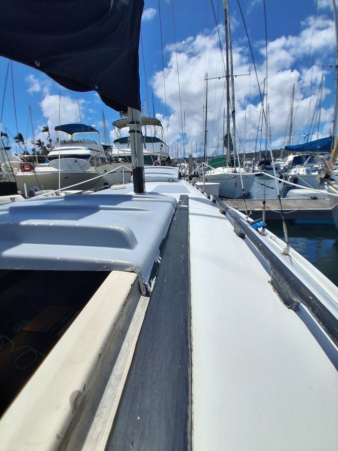 BLACK PEARL