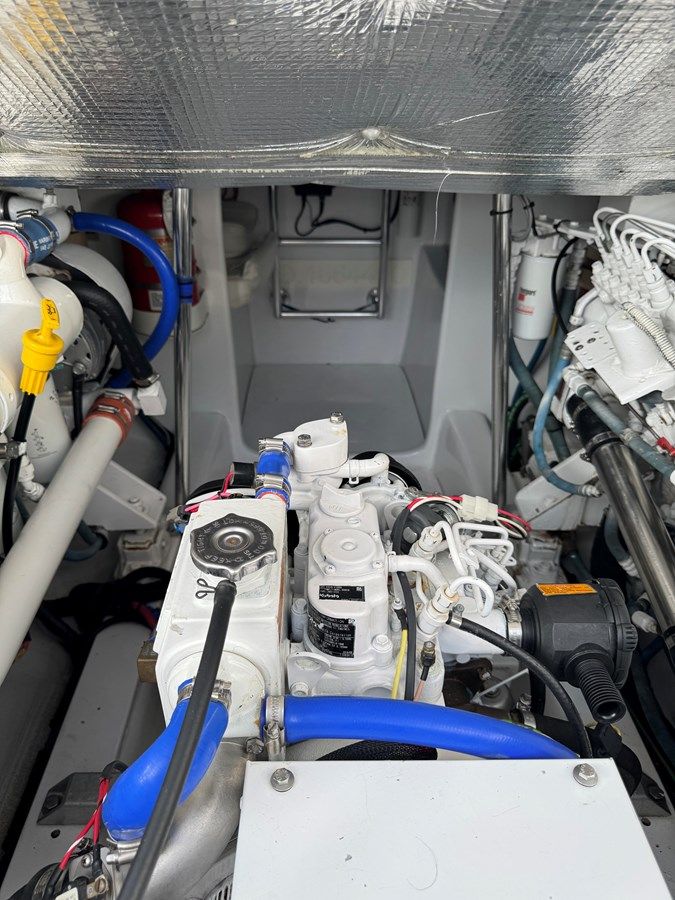 sailfisher 1998