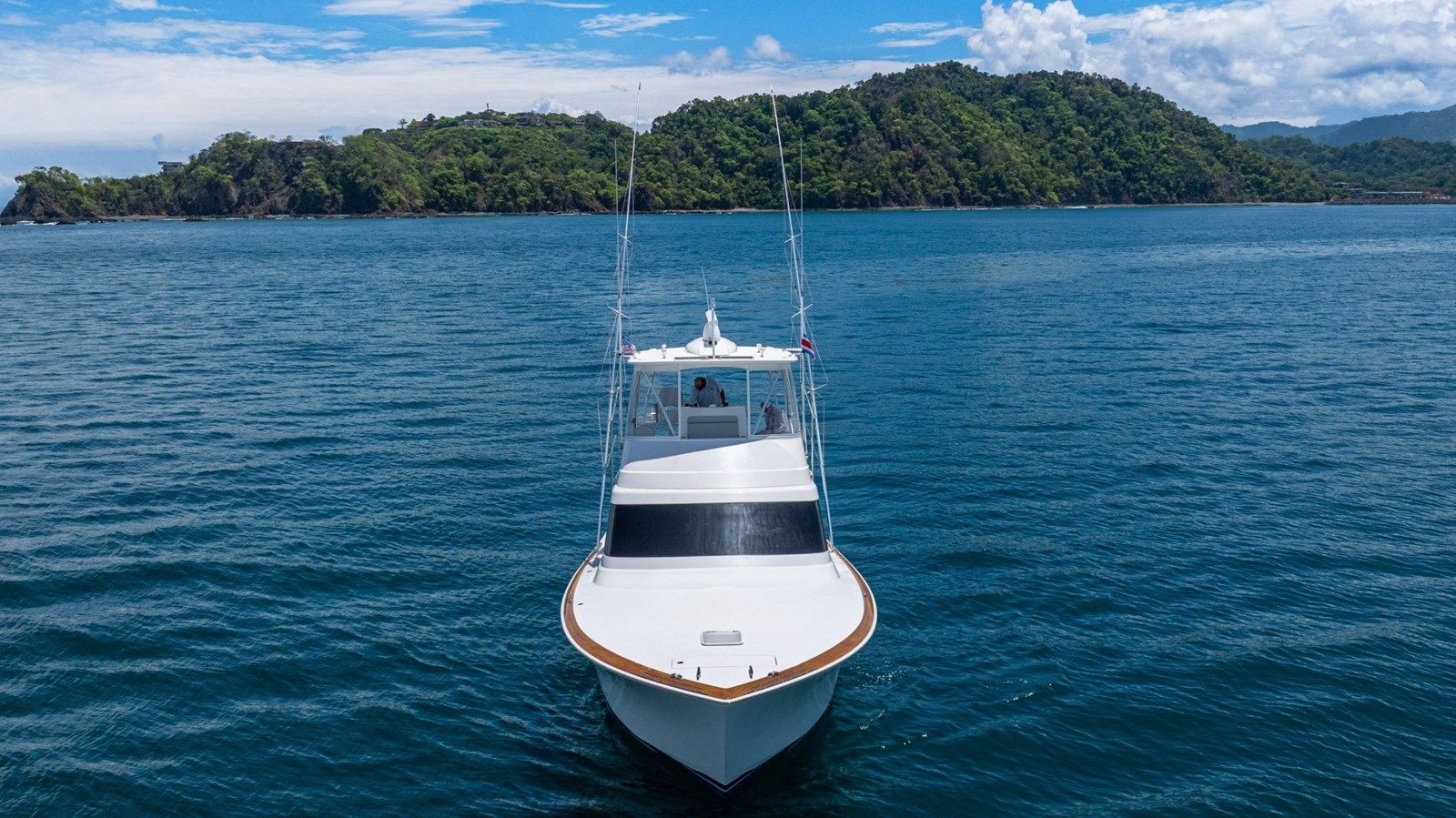 SCARLET - VIKING yacht sale