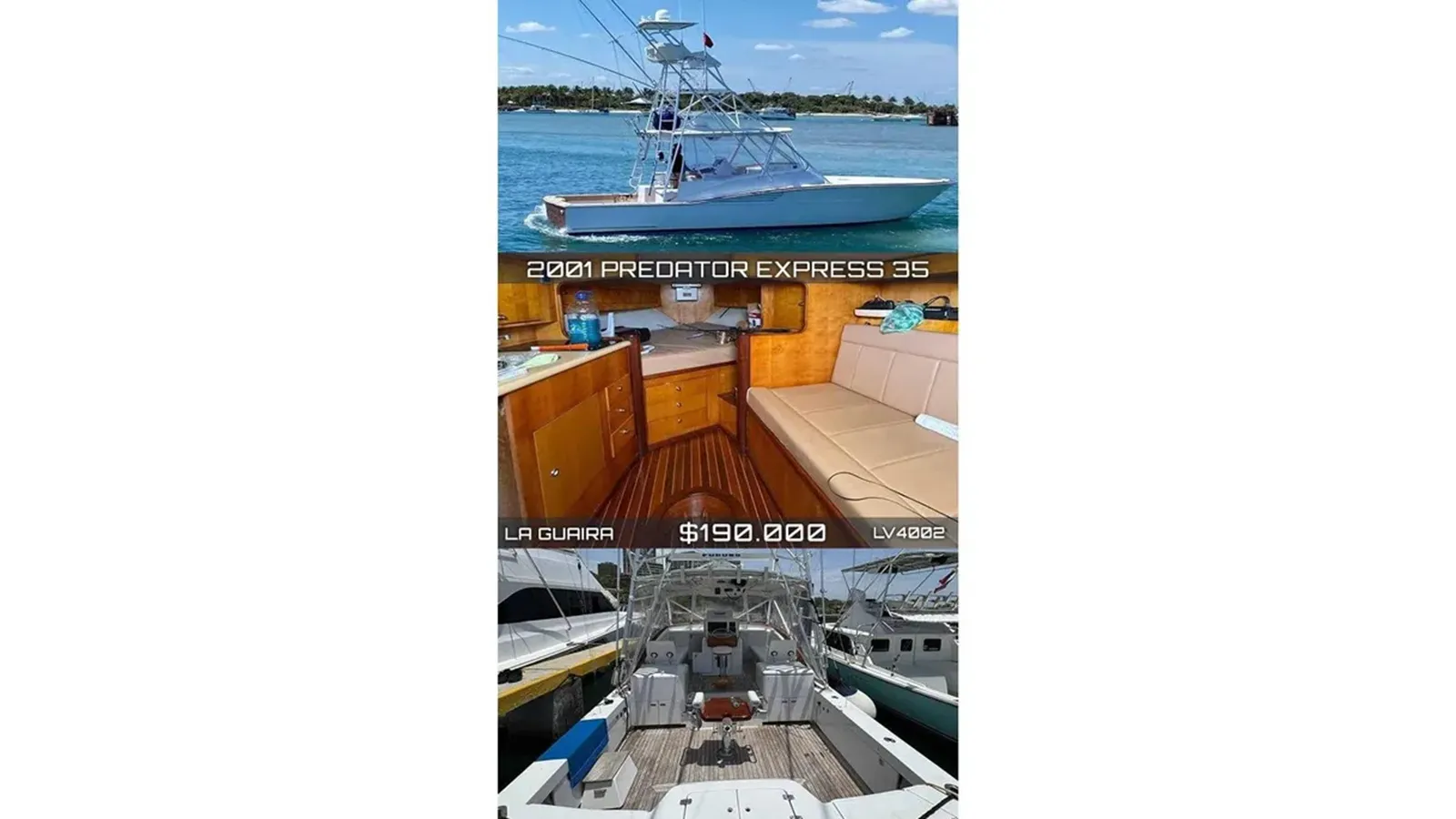 Купить 2001 Predator 35 Express 2001