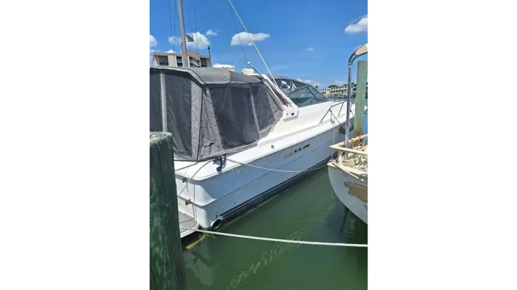 1985 Sea Ray 390 Express Cruiser