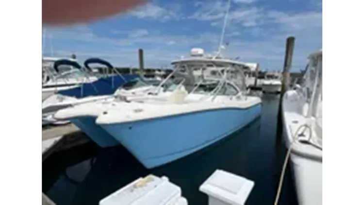 2009 World Cat 290 DC