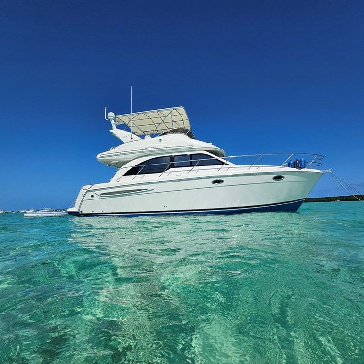 Meridian Sedan Bridge 341